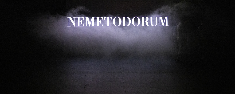 Nemetodorum